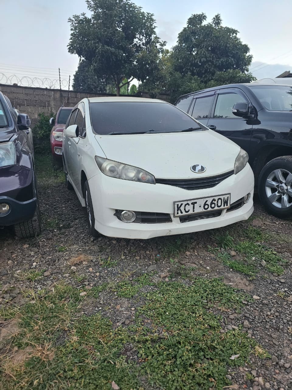 TOYOTA WISH